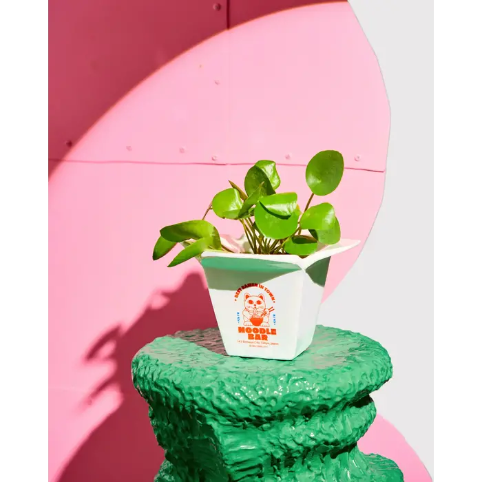 FLUID MARKET FLUID MARKET VASE / POT RAMEN