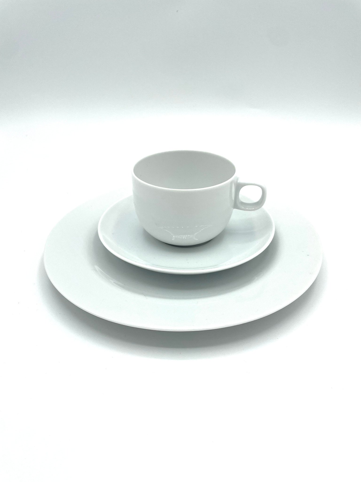 ROSENTHAL ROSENTHAL PROMOSET SERVIES MOON