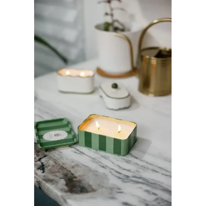 PADDYWAX PADDYWAX CANDLE SNAKE PRINTED WILD LEMONGRASS