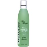 inSPAration Wellness - Cooling Spearmint 245 ml