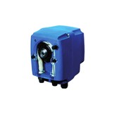 Peristaltische Zwembad Doseerpomp BF 3 liter per uur