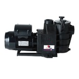 Hayward Superpool zwembadpomp 230v 17m3 - 1,5pk