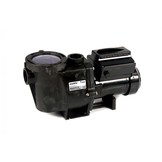 Pentair Intelliflo Whisperflo VSF Zwembadpomp