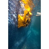 Dolphin Wave 100 Zwembadrobot