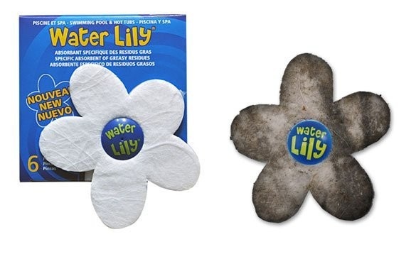 Water Lily Spons Doos met 6 Stuks