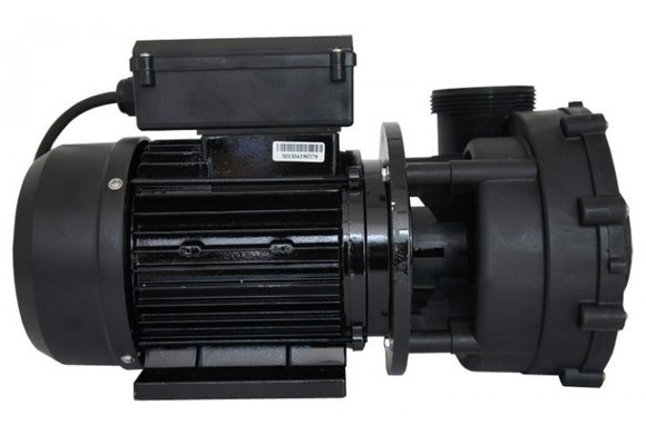 LX LP150 Massage Pomp 1-spd 1,5hp
