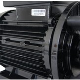 LX LP300 Massage Pomp 1-spd 3,0hp