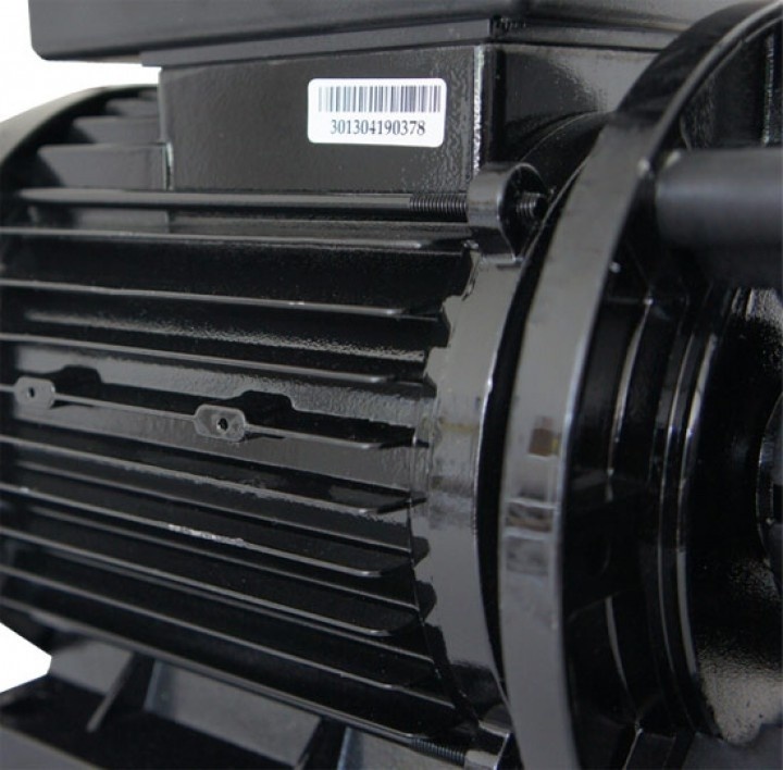 LX LP300 Massage Pomp 1-spd 3,0hp