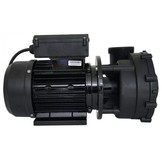 LX LP300 Massage Pomp 1-spd 3,0hp