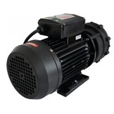 LX WP200-II Massage Pomp 2-spd 2,0hp