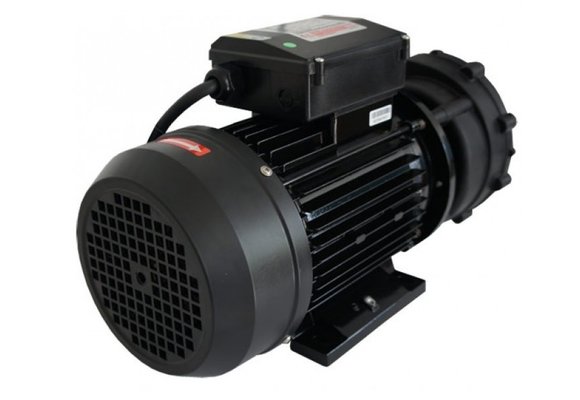LX WP250-II Massage Pomp 2-spd 2,5hp