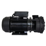 LX WP300-II Massage Pomp 2-spd 3,0hp