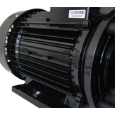 LX WP300-II Massage Pomp 2-spd 3,0hp