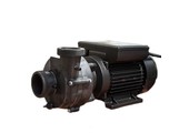 Balboa Niagara 2hp 2-spd Massage Pomp
