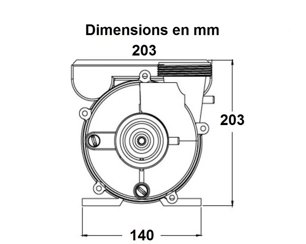Balboa Niagara 2hp 2-spd Massage Pomp