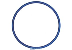 Hayward O-ring voor Zeswegklep Topmount Filters S166T, 180T, 210T, 220T