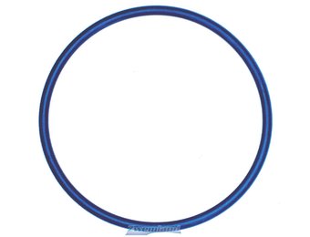 Hayward O-ring voor Zeswegklep Topmount Filters S166T, 180T, 210T, 220T