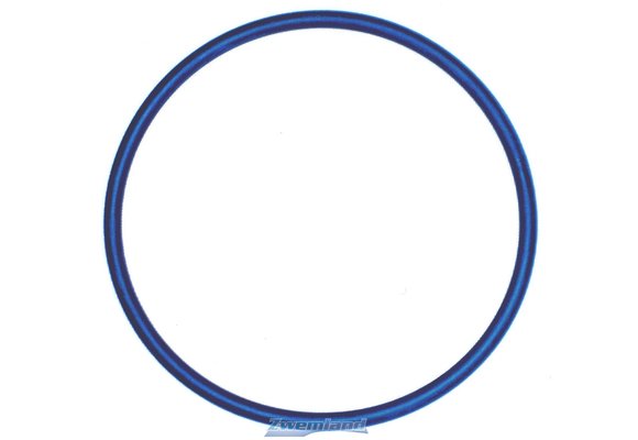 Hayward O-ring voor Zeswegklep Topmount Filters S166T, 180T, 210T, 220T