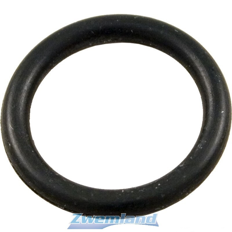 Hayward Sidemount Filter Ontluchting Nippel O-ring SX200Z5