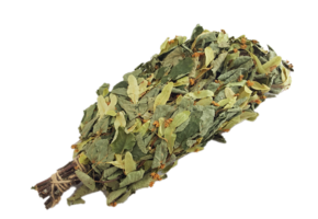 Sauna Lindebloesem takken