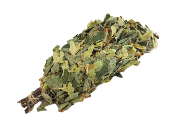 Sauna Lindebloesem takken