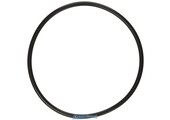 Hayward Power Flo Pompdeksel Pakking SPX1500P