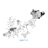 Kripsol Koral KS Zwembadpomp Motor Sealset