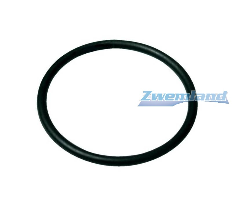 Starline SL Zwembadpomp O-ring