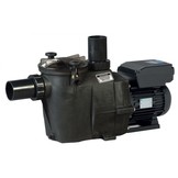 Hayward Zwembadpomp, type RS II VSTD