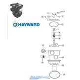 Hayward Hendel Pin voor SP0714TE Variflo Kraan