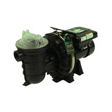 Sta-Rite Zwembadpomp type S5P2R VS2M