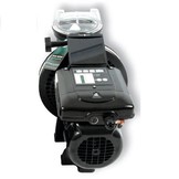 Sta-Rite Zwembadpomp type S5P2R VS2M