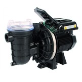 Sta-Rite Zwembadpomp type S5P2R VS2