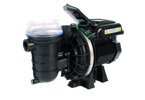 Sta-Rite Zwembadpomp type S5P2R VS2