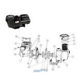 Pentair Whisperflo/ Intelliflo zwembadpomp Filtermand