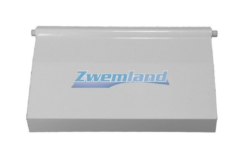 Hayward cofies skimmerklep SK6598