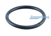 Weltico zwembadlamp O-ring