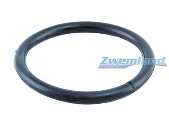 Weltico zwembadlamp O-ring