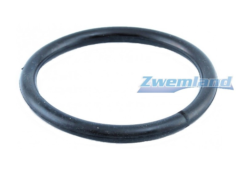 Weltico zwembadlamp O-ring