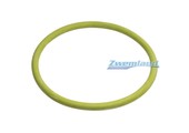 Mts zwembadlamp o-ring E804005