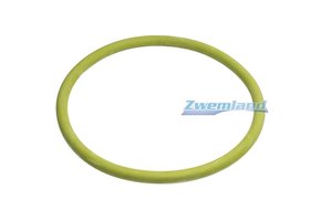 Mts zwembadlamp o-ring E804005