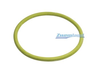 Mts zwembadlamp o-ring E804005