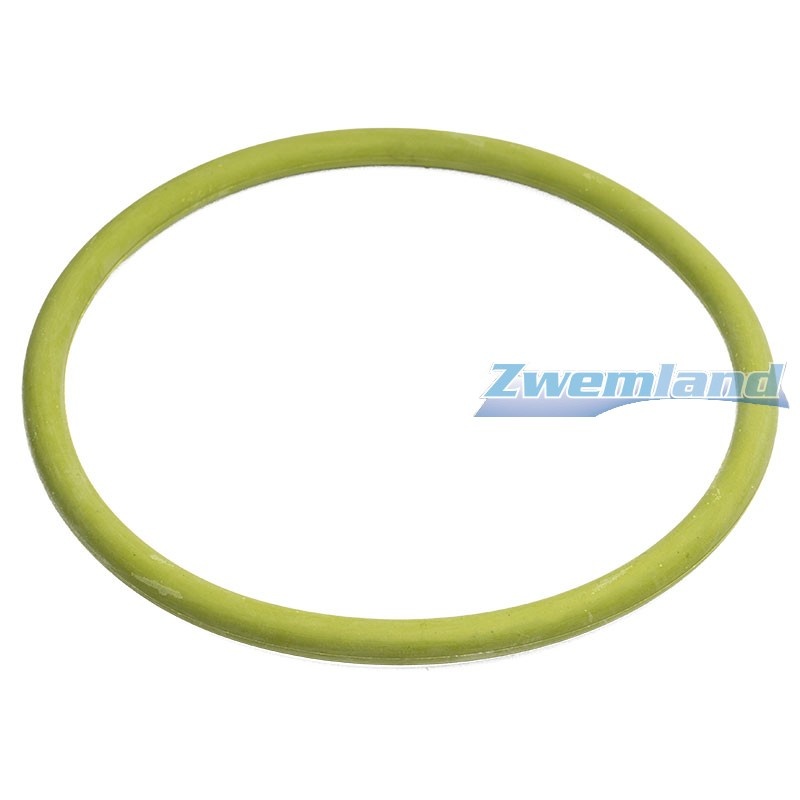 Mts zwembadlamp o-ring E804005