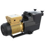 Hayward Super Pump Pro - Diverse Varianten