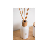 Rento Geurstokjes Berken 100 ml