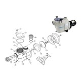 Kripsol Koral KS en Starline Sl Zwembadpomp Deksel O-ring