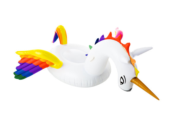 Didak Opblaas pegasus  XL