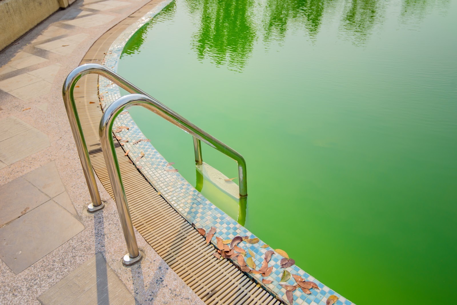 Voorwaarde buurman instant Mijn zwembadwater is groen, wat nu? | Zwemland.nl - Zwemland