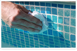 Net'line Reinigingsgel 300ml