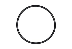 O-ring voor mega pool filter